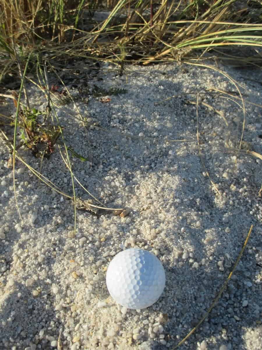 Golf Ball In The Rough