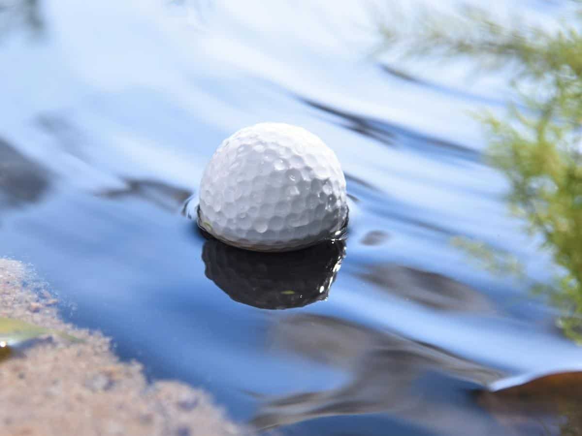 Golf Ball In Lake